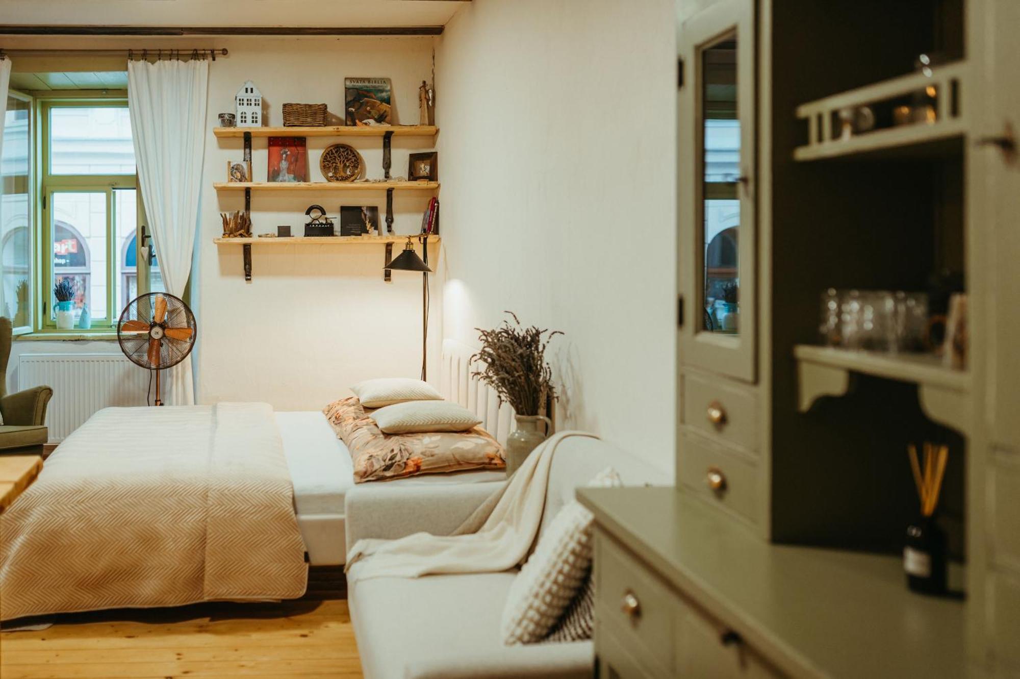 Apartman V Jungovom Dome - V Centre Stiavnice Banská Štiavnica Buitenkant foto